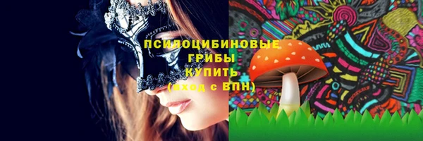 бошки Абинск