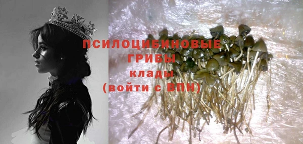 ECSTASY Абаза
